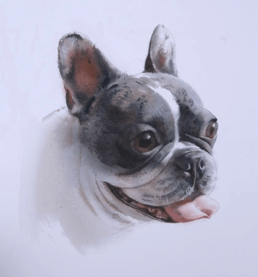 [lectoroom] Елена Базанова ― Портрет французского _0.png